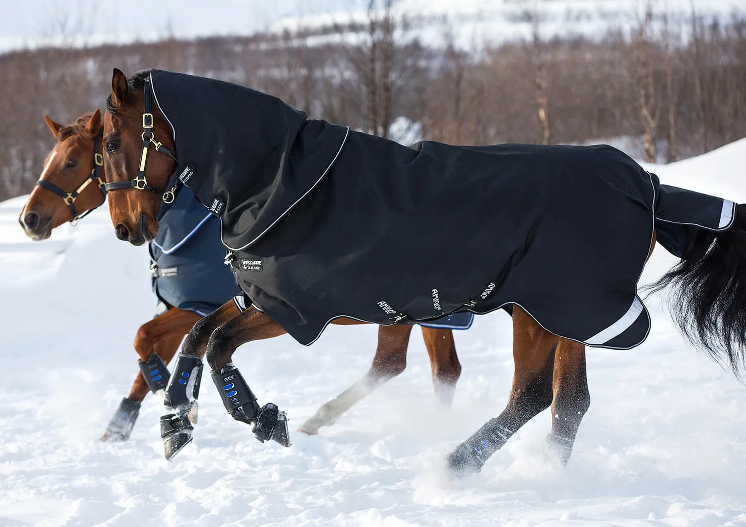 Amigo Super Bravo Plus Medium Horse Turnout Blanket