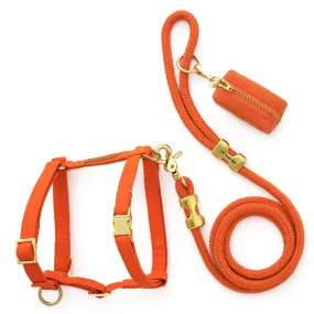 Cider Harness Walk Set