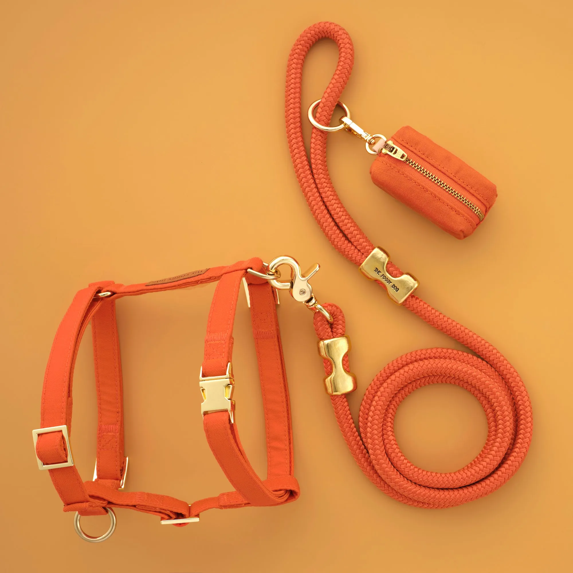 Cider Harness Walk Set