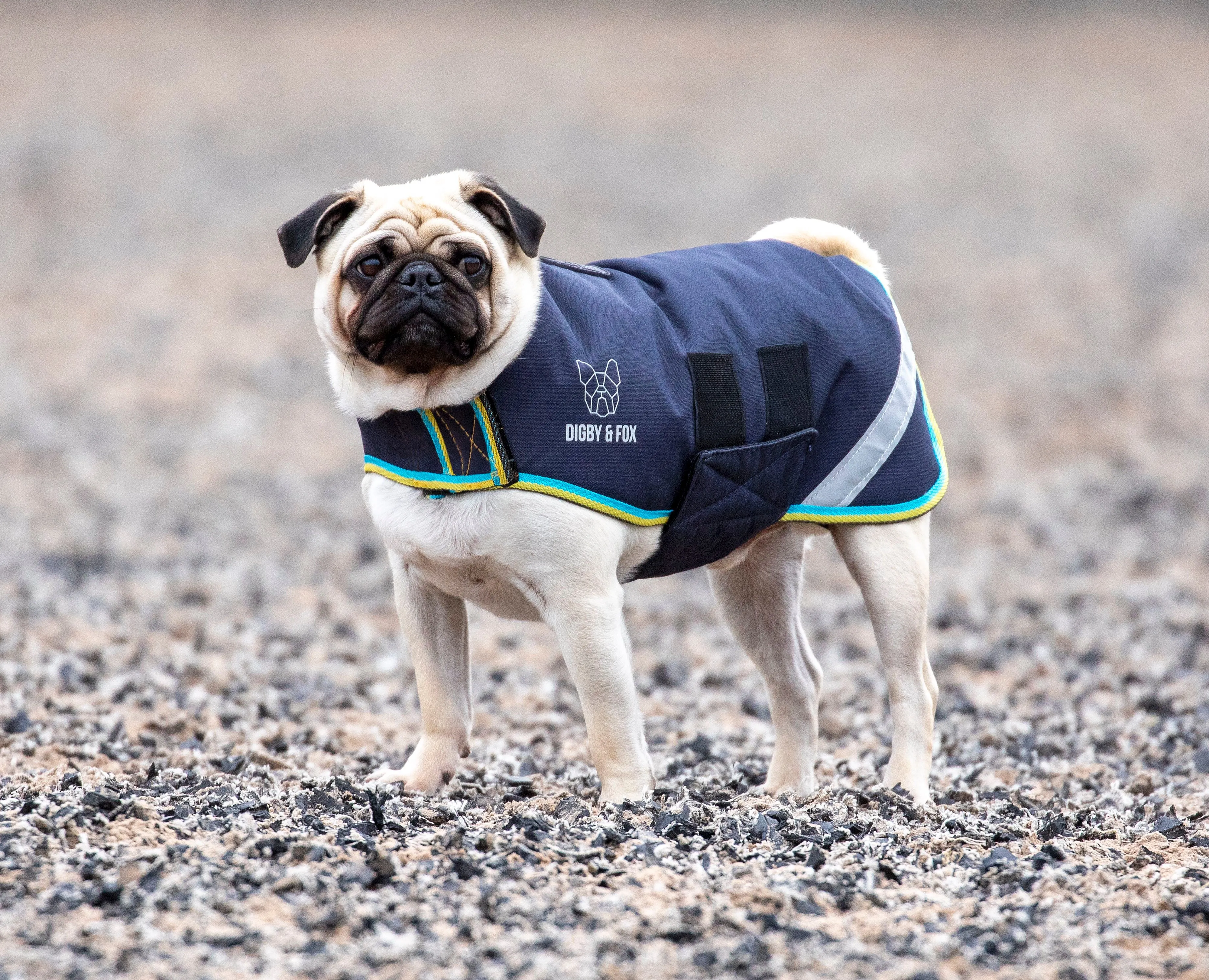 Digby & Fox Waterproof Dog Coat