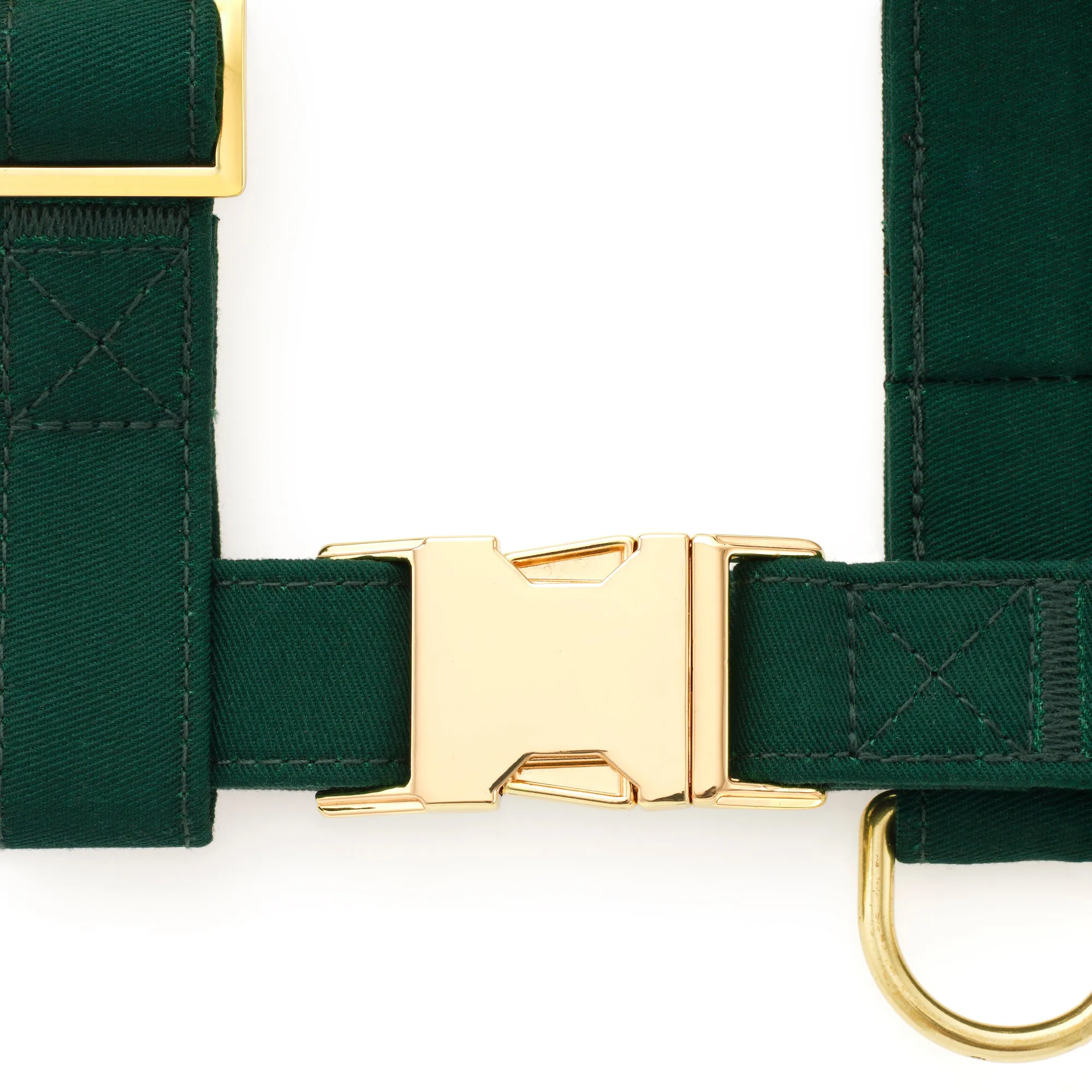 Evergreen Harness Walk Set