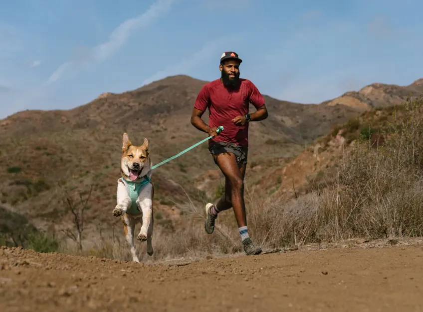 Hi & Light, Lightweight Adventure Dog Harness from Ruffwear