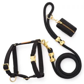 Onyx Harness Walk Set