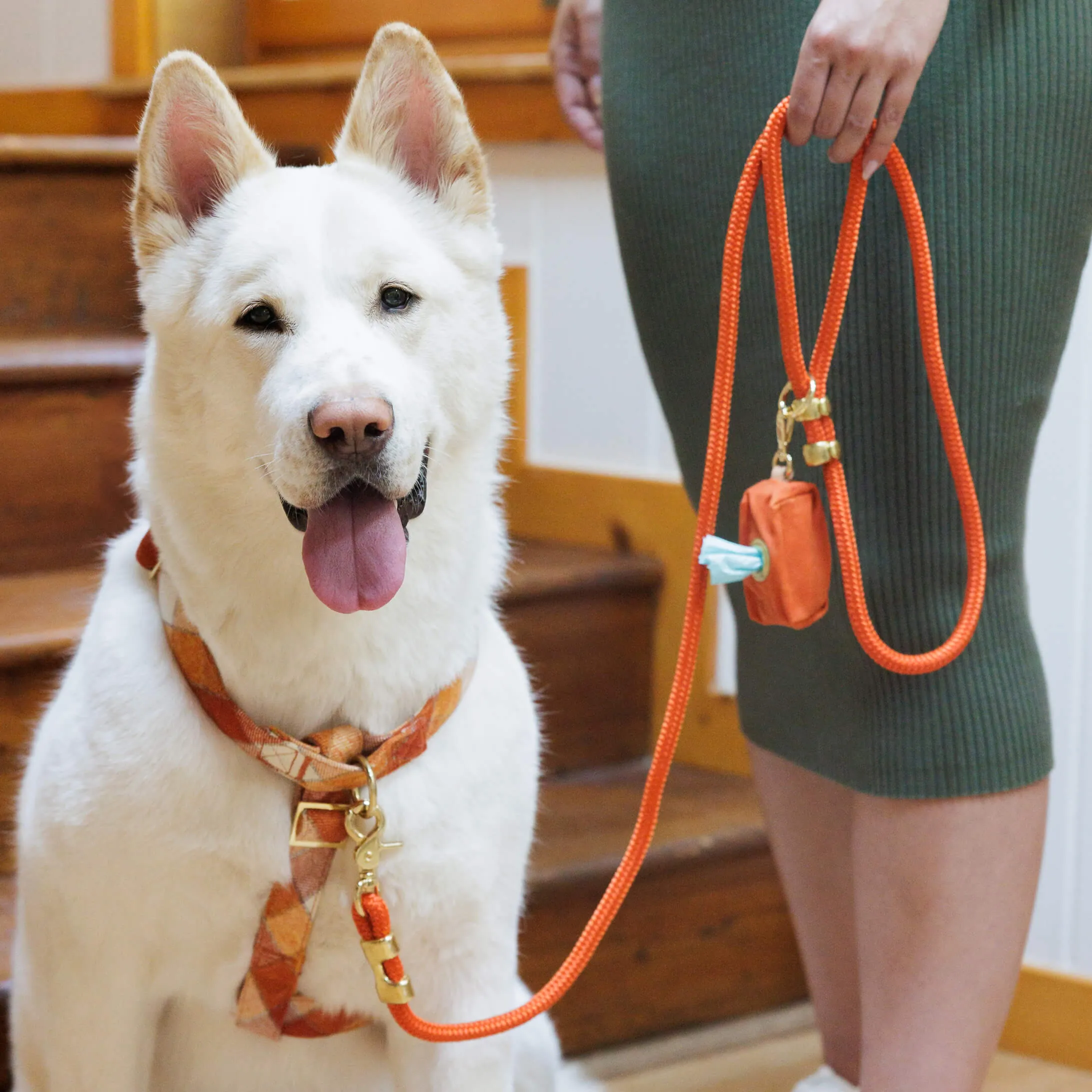 Pumpkin Spice Plaid Flannel Harness Walk Set